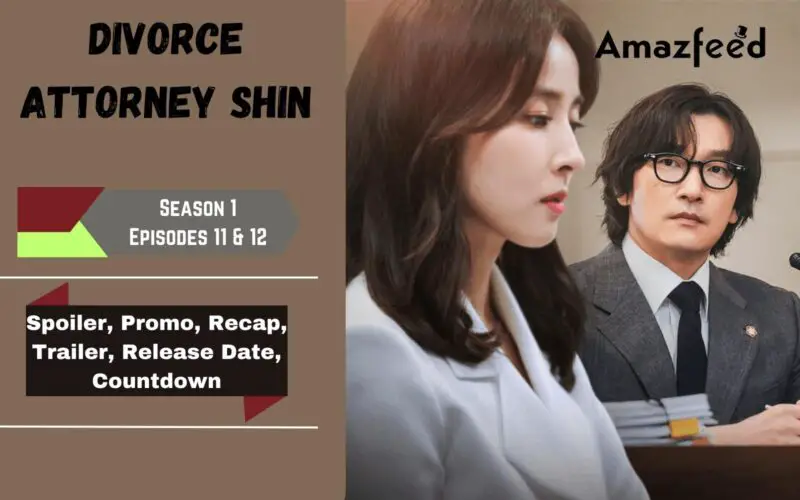 Divorce Attorney Shin Episodes 11 & 12