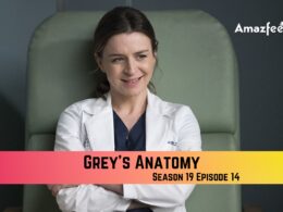 Grey’s Anatomy Season 19 Episode 13 Release Date