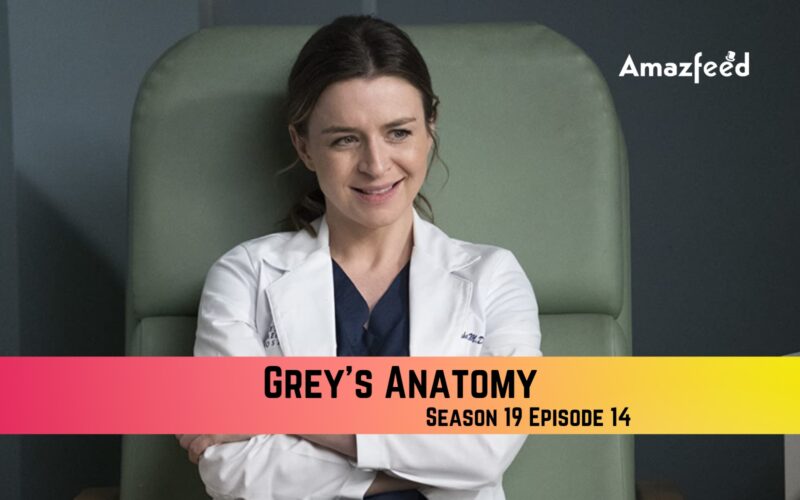 Grey’s Anatomy Season 19 Episode 13 Release Date