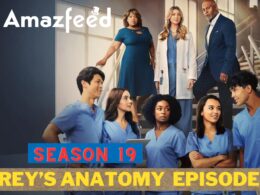 Grey’s Anatomy Season 19 Episode 9