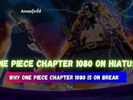 One Piece Chapter 1080 On Hiatus!