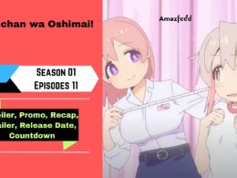 Oniichan wa Oshimai! Episode 11