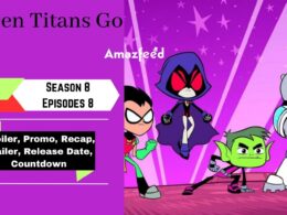 Teen Titans Go Season 8 Episode 8