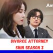 What can we expect from Divorce Attorney Shin season 2