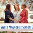 When Is Sweet Magnolias Season 3 Coming Out (Release Date)