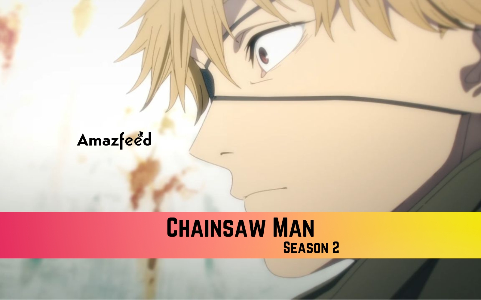 Chainsaw Man Season 2 Confirm Release Date, will it ever happen, or