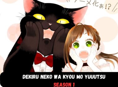 Dekiru Neko wa Kyou mo Yuuutsu Season 1