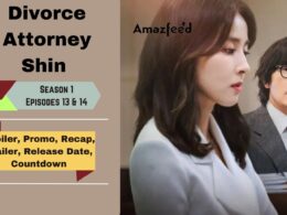 Divorce Attorney Shin Episodes 13