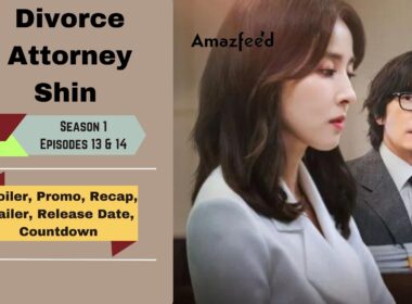 Divorce Attorney Shin Episodes 13