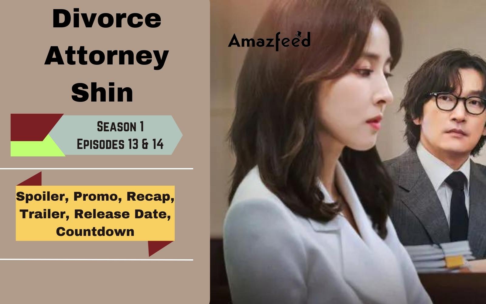 Divorce Attorney Shin Episodes 13 & 14 Release Date, Spoiler, recap