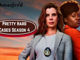 Is There Any News Pretty Hard Cases Season 4 Trailer