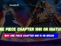 One Piece Chapter 1081 On Hiatus!