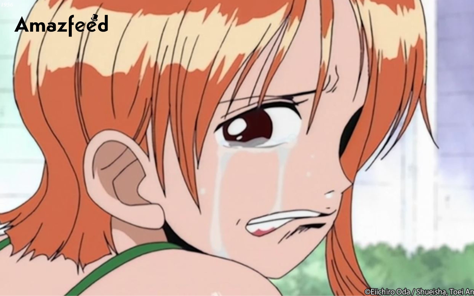 One Piece Season 22 Renewed Or Canceled, Release Date, Cast, Where To