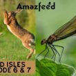 Wild Isles Episode 6 & 7 Release Date