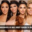 the real housewives of new jersey season 14 release date