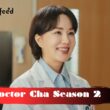 Doctor Cha Season 2