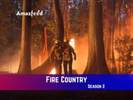 Fire Country Season 2 Coming Out