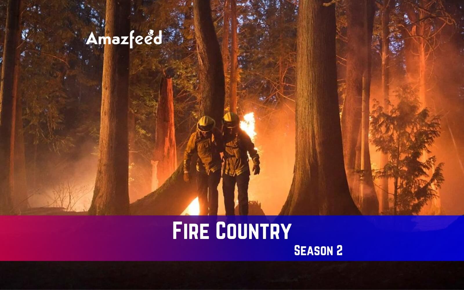 Fire Country Season 2 Release Date, Spoiler, Recap, Trailer, Where