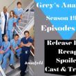 Grey's Anatomy Season 19 Episode 20