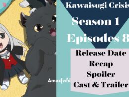 Kawaisugi Crisis Episode 8