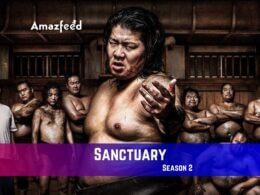 Sanctuary Season 2 Release Date