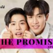 The Promise Season 1 Episode 9