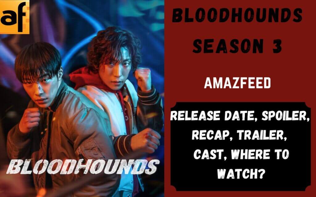 K Drama Bloodhounds Season Release Date News Cast Spoilers Updates Amazfeed