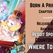 Born A Princess Chapter 19