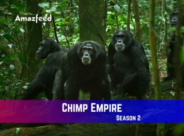 Chimp Empire Season 2 Release Date