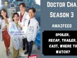 Doctor Cha Season 3