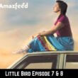Little Bird Episode 7 & 8