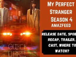 My Perfect Stranger Season 4