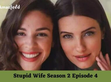 Stupid Wife Season 2 Episode 4 Cast and Character Archives » Amazfeed