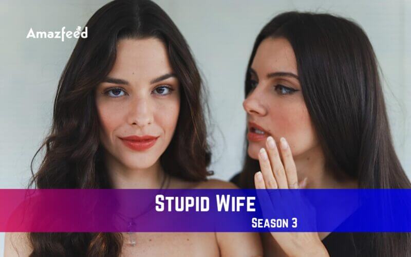 Stupid Wife Season 3 Release Date