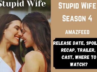 Stupid Wife Season 4