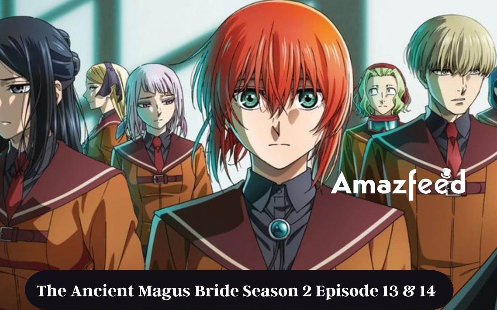 Animehouse — The Ancient Magus' Bride Season 2 Episode 13