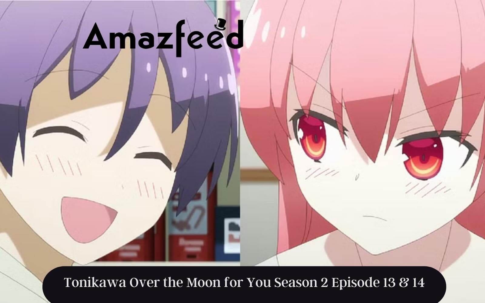 Will There be any Updates on Tonikaku Kawaii Season 3? » Amazfeed