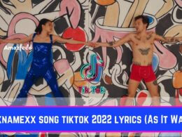 xxnamexx song tiktok 2022 lyrics (As It Was)