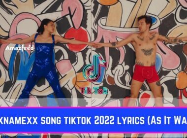 xxnamexx song tiktok 2022 lyrics (As It Was)