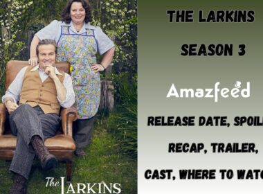 The Larkins season 3 Release date