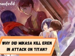 What happens to Mikasa after Eren's death