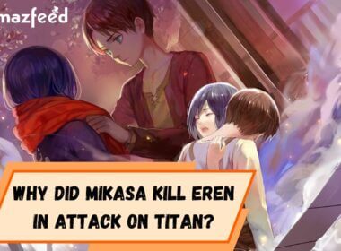 What happens to Mikasa after Eren's death