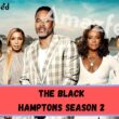 When Is The Black Hamptons Season 2 Coming Out (Release Date)