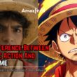 Difference Between One Piece Live Action And Anime