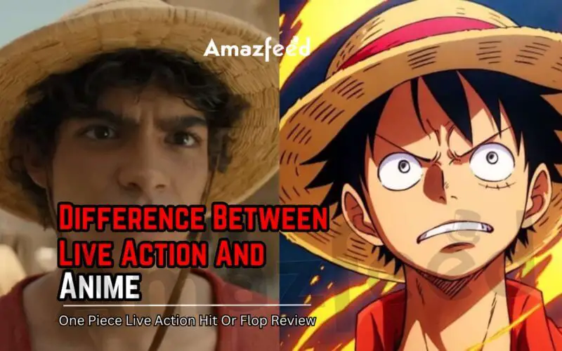 Difference Between One Piece Live Action And Anime