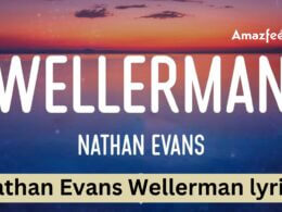 Nathan Evans Wellerman lyrics Details