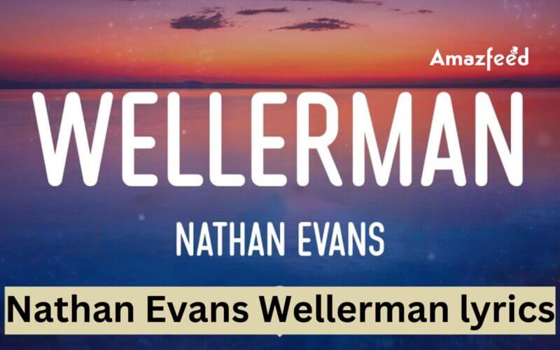Nathan Evans Wellerman lyrics Details
