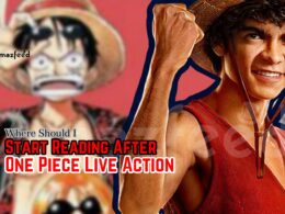 Read Manga After One Piece Live Action