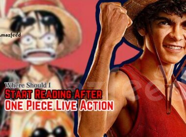 Read Manga After One Piece Live Action