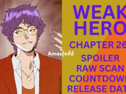 Weak Hero Chapter 265 Spoiler, Release Date, Countdown, Recap & Where to Read